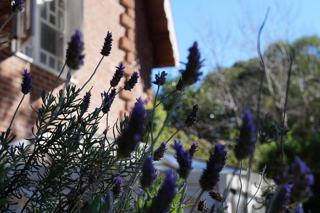 Don Ramon Hotel & Spa Canela Dış mekan fotoğraf